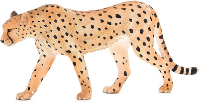 MOJO Cheetah Male