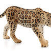 Mojo Leopard