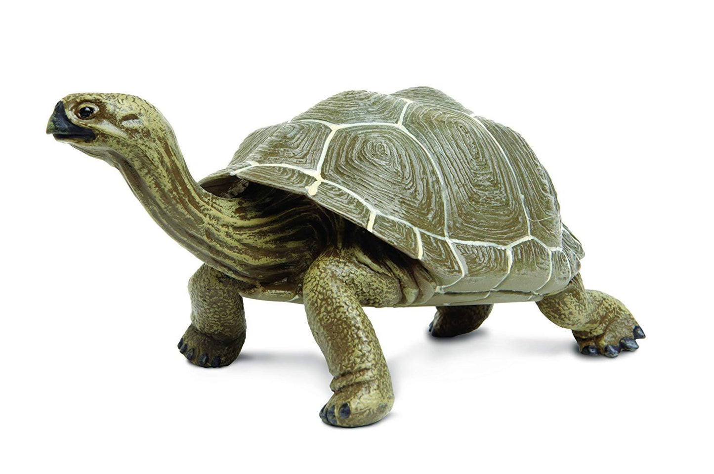 Safari Ltd Incredible Creatures Galapagos Adult Tortoise