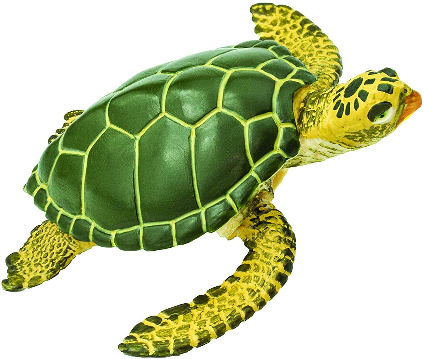 Safari Ltd. Green Sea Turtle
