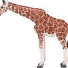 MOJO Giraffe Female Figure