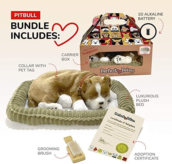 Perfect Petzzz - 17Original - Pit Bull