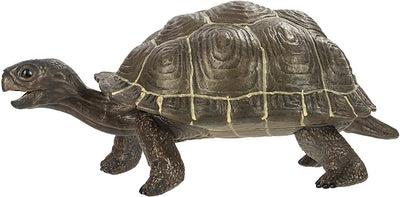 Safari Ltd Tortoise Baby