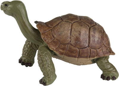 Safari Ltd. Giant Tortoise