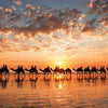 Educa 1000 Piece Golden Sunset on Cable Beach Puzzle