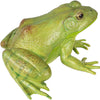 Safari Ltd. American Bullfrog Toy Figure