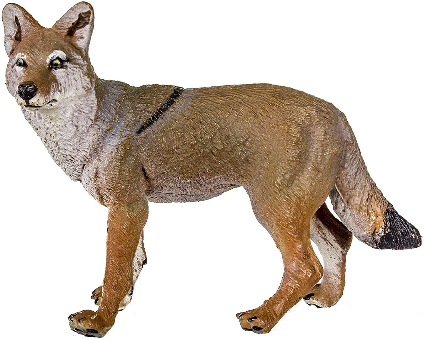 Safari Ltd. Coyote