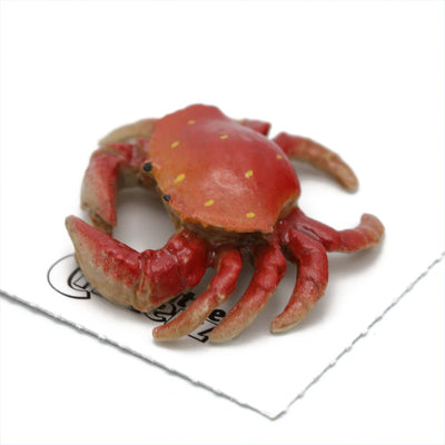 Little Critterz "Angeles" Dungeness Crab