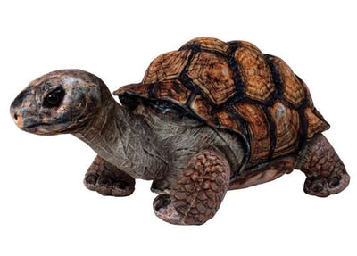 Real Planet Desert Tortoise Plush Toy