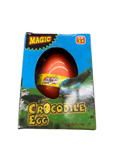 Growing and Hatching Crocodile Egg