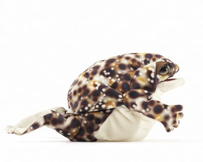 Folkmanis Desert Rain Frog Puppet