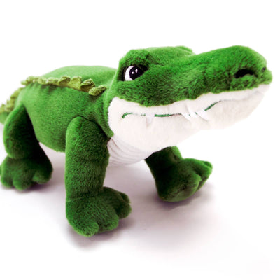Bernie the Gator