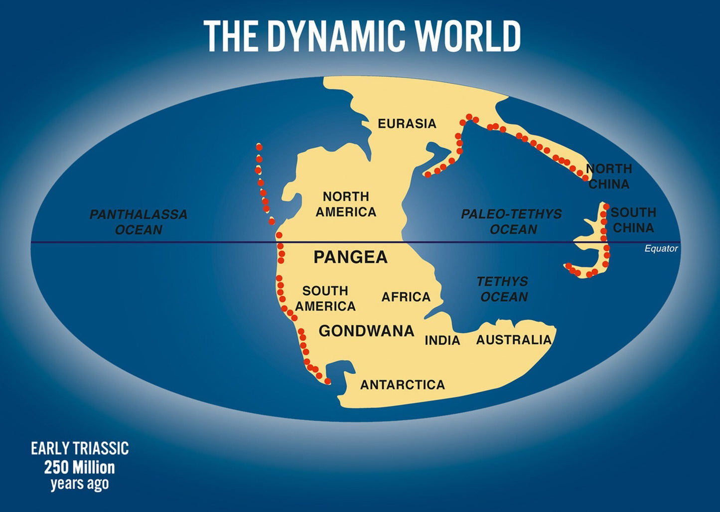 Authentic Cards Dynamic World