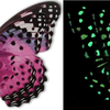 Flutter Gallery - Butterfly Magnet