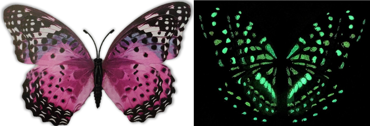 Flutter Gallery - Butterfly Magnet
