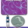 ScienceWiz Microscope Slides Animal Biology Set of 7