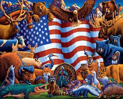 Dowdle Animals of America 500pc Puzzle