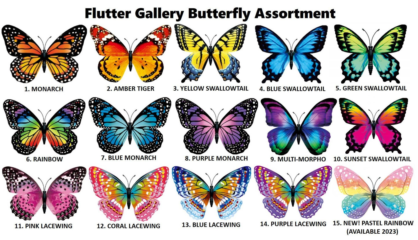 Flutter Gallery - Butterfly Magnet