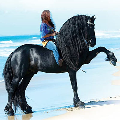 Breyer Horses Traditional Series Sjoerd | Horse Toy Model | 12.25" x 8" | 1:9 Scale