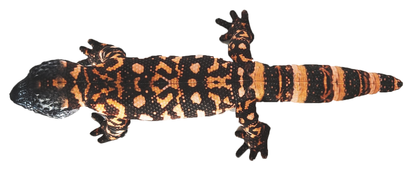 Gila Monster Stuffed Lizard Toy 20"