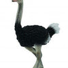 Collecta Ostrich