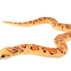 Real Planet Corn Snake 59" Plush Toy