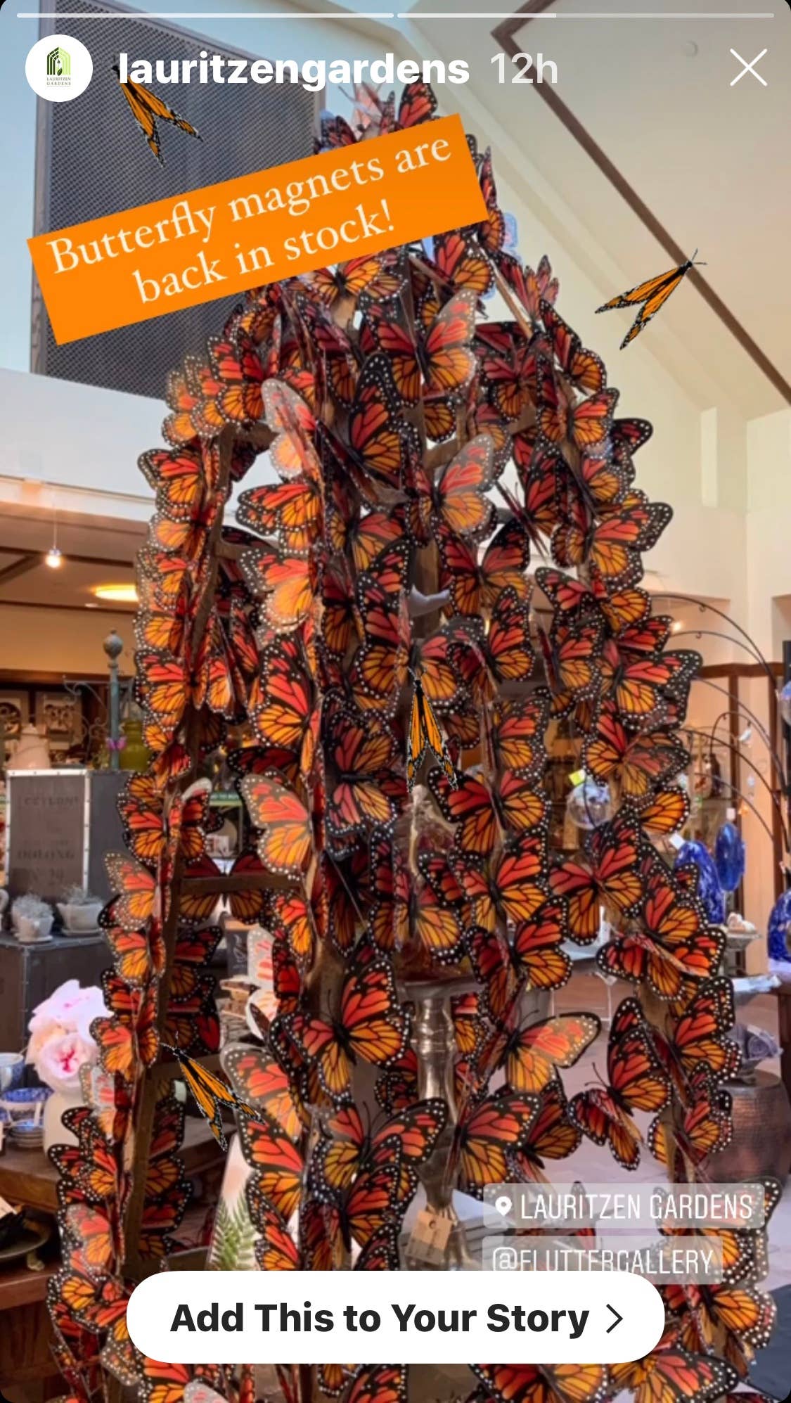 Flutter Gallery - Butterfly Magnet