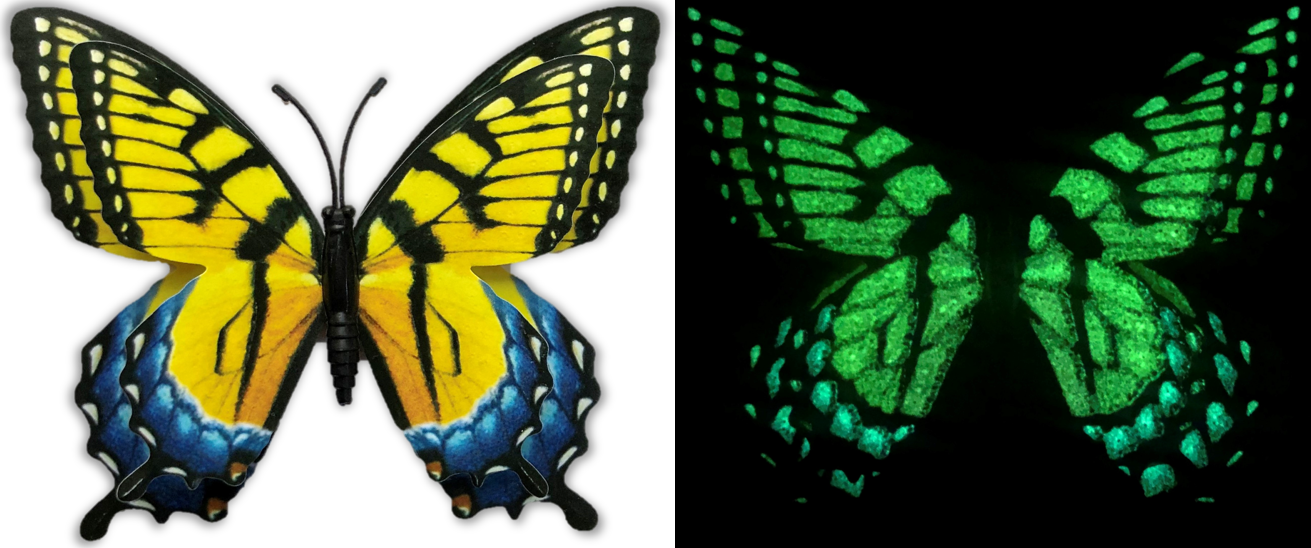 Flutter Gallery - Butterfly Magnet