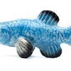 Little Critterz Devils Hole Pupfish
