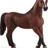 Mojo Arabian Stallion Chestnut