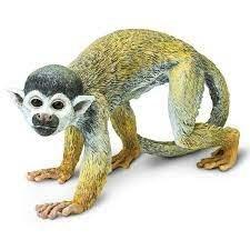 Safari Spider Monkey