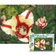 Garden Accents 500pc Parrot Tulip Puzzle