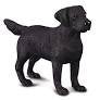 Collecta LABRADOR RETRIEVER