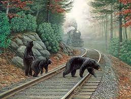 SunsOut 500 Piece Bear Tracks Puzzle