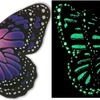 Flutter Gallery - Butterfly Magnet