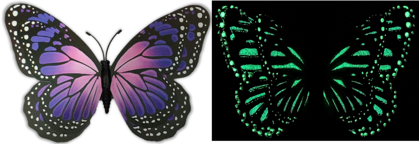 Flutter Gallery - Butterfly Magnet