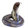 Real Planet Cobra 73" long Poseable Plush Snake