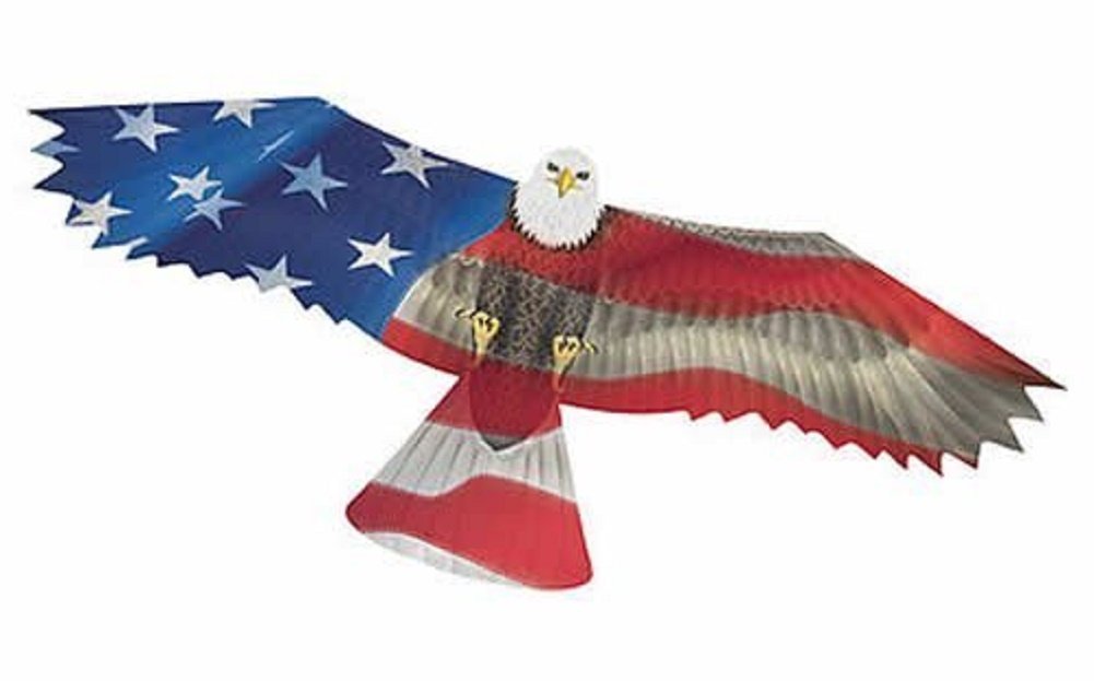Wind n Sun Ripstop Nylon USA Eagle Kite 70"