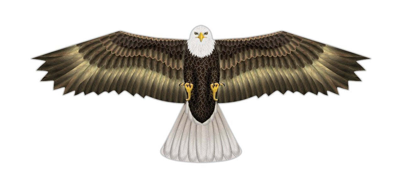 Xkites 48" Birds of Prey Eagle Nylon Kite