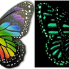 Flutter Gallery - Butterfly Magnet