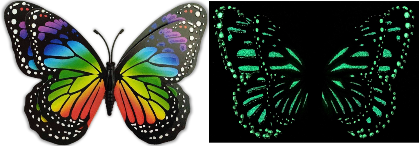 Flutter Gallery - Butterfly Magnet