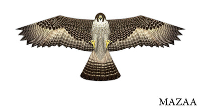 Xkites 48" Birds of Prey Falcon Nylon Kite