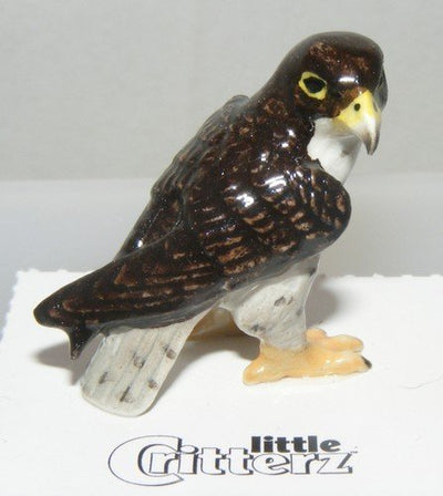 Little Critterz "Stoop" Peregrine Falcon