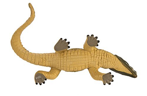 Safari Crocodile