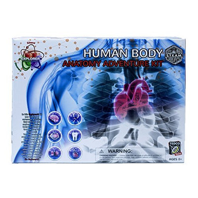 Explorer U Human Body Anatomy Adventure Kit