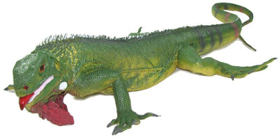 Mamejo Nature Rubber Iguana Toy Figurine 22"