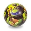 Ninja Turtles Sponge Ball