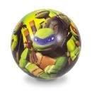 Ninja Turtles Sponge Ball