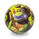 Ninja Turtles Sponge Ball