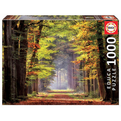 Educa 1000 Piece Fall Walkway Puzzle